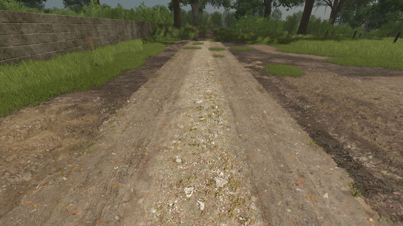 Straßenset Roads für das Pichonnière-Tal — 6 Bodenstraßen für FS25