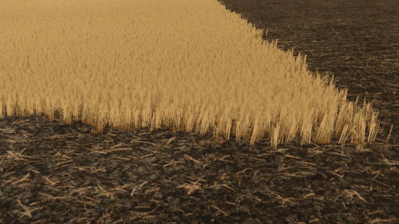 Realistische Texturen von geschnittenem Weizen und Gerste (Cut Wheat/Barley) für Farming Simulator 25