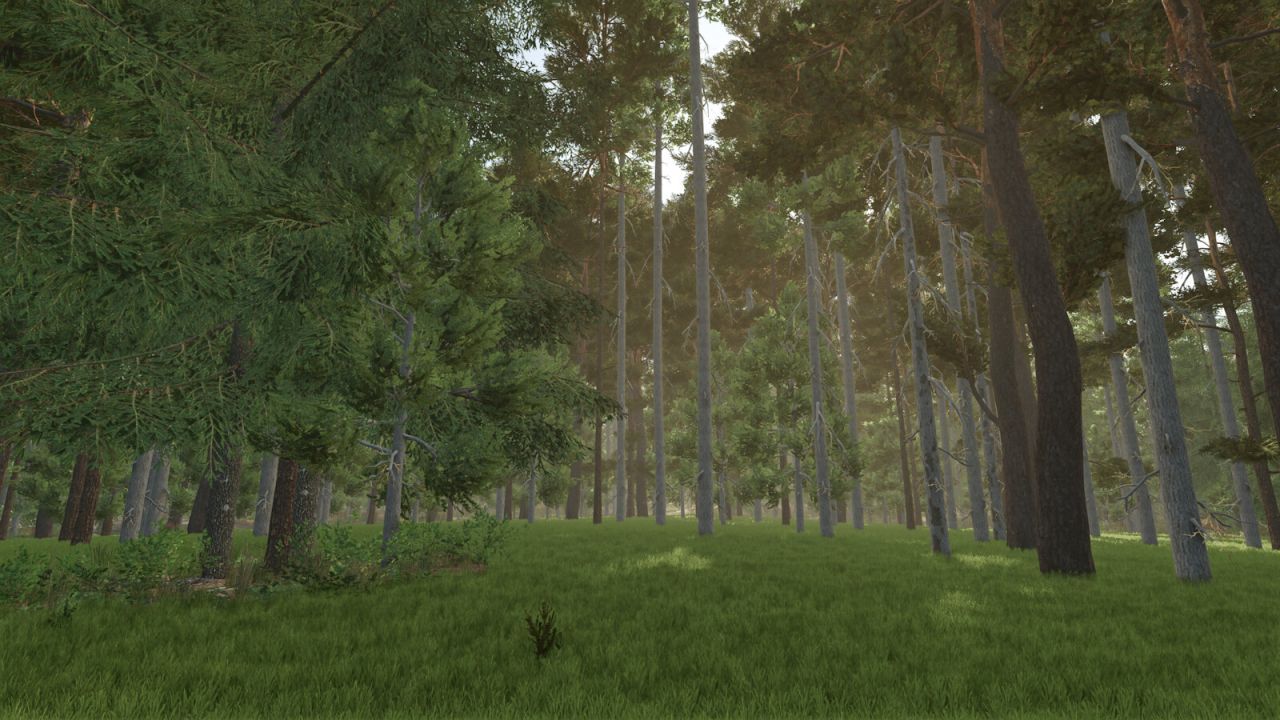 Unlimited Tree Placement — Вільне Безлімітне Розміщення Дерев у FS25