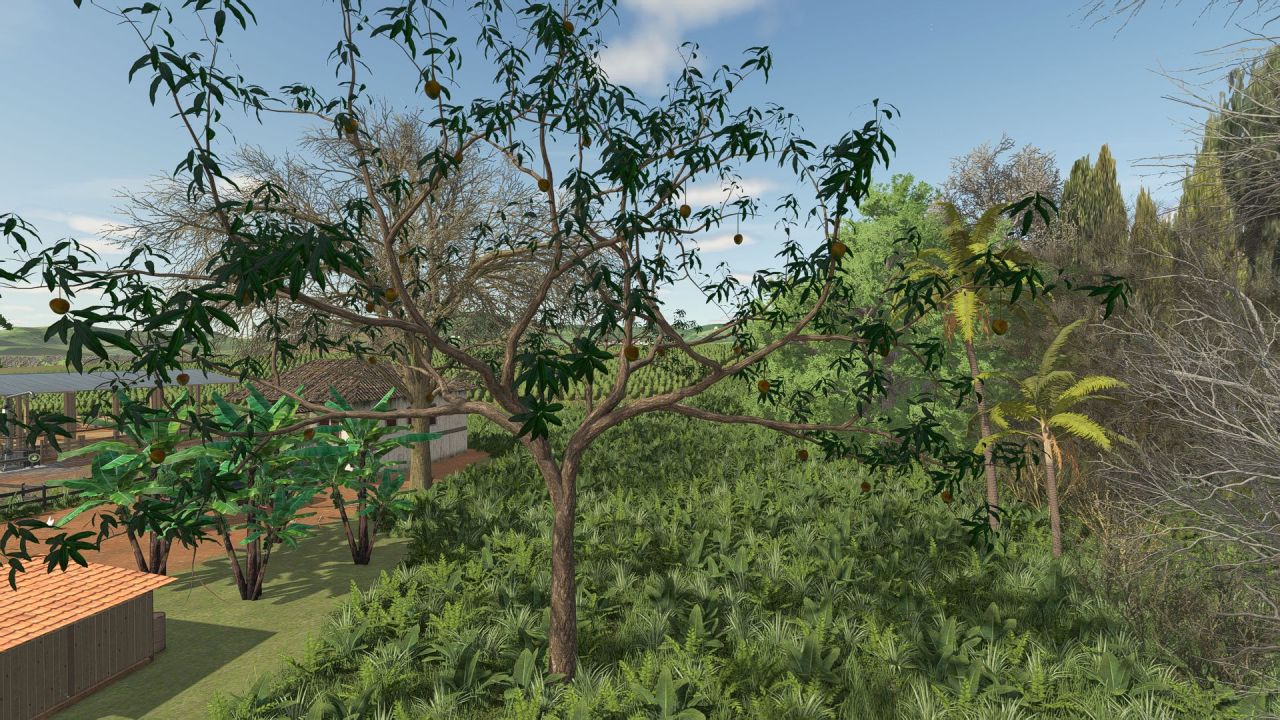 Декоративне Mango Tree — Екзотичне Мангове Дерево для Прикраси Ферми в FS25