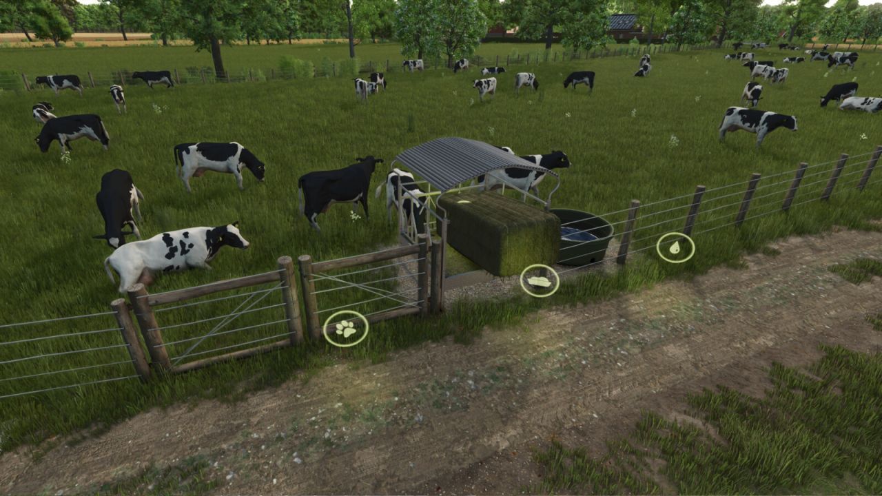 Efficient Simple Cow Pasture — Simple Pasture for Cows in FS25