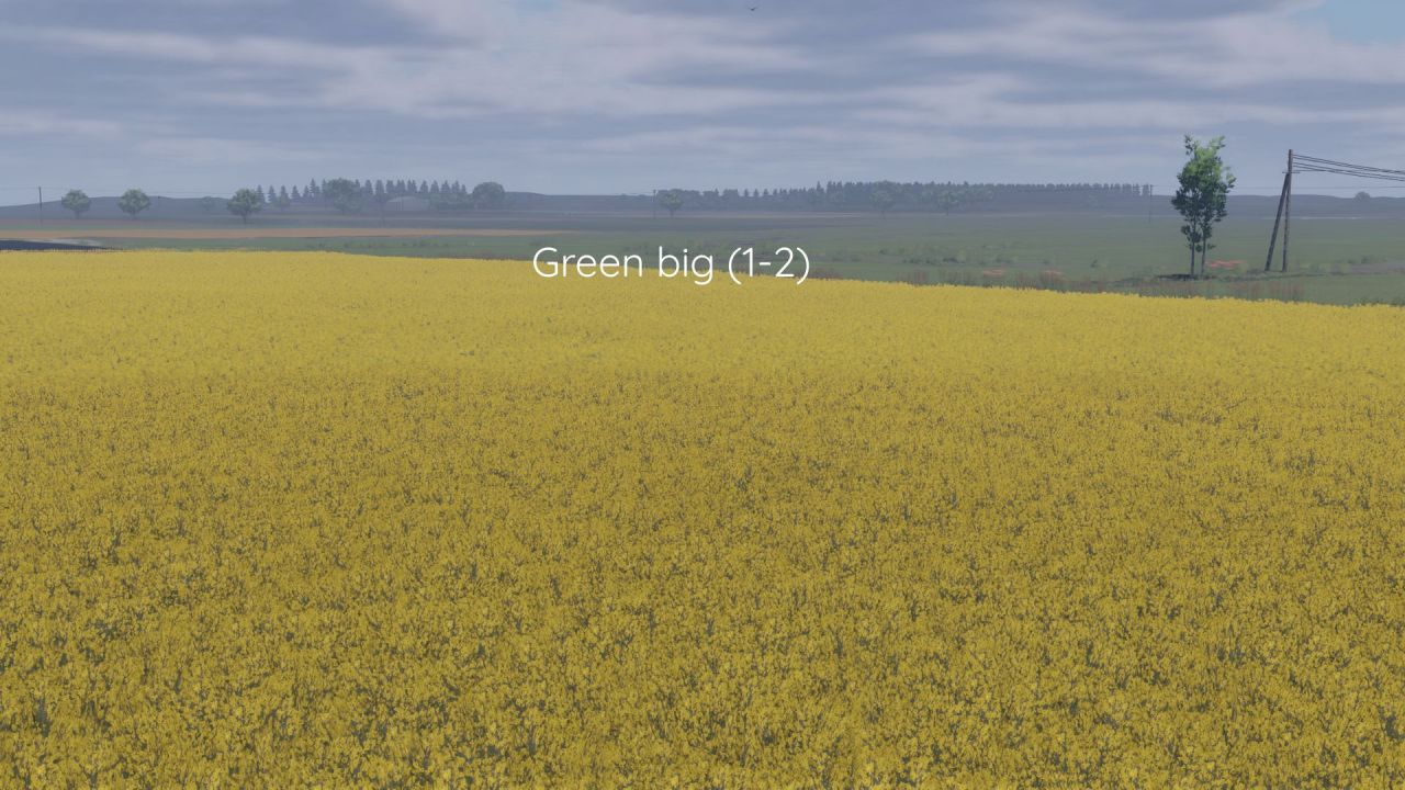 Ulepszona Tekstura Rzepaku Better Canola Texture dla Farming Simulator 25