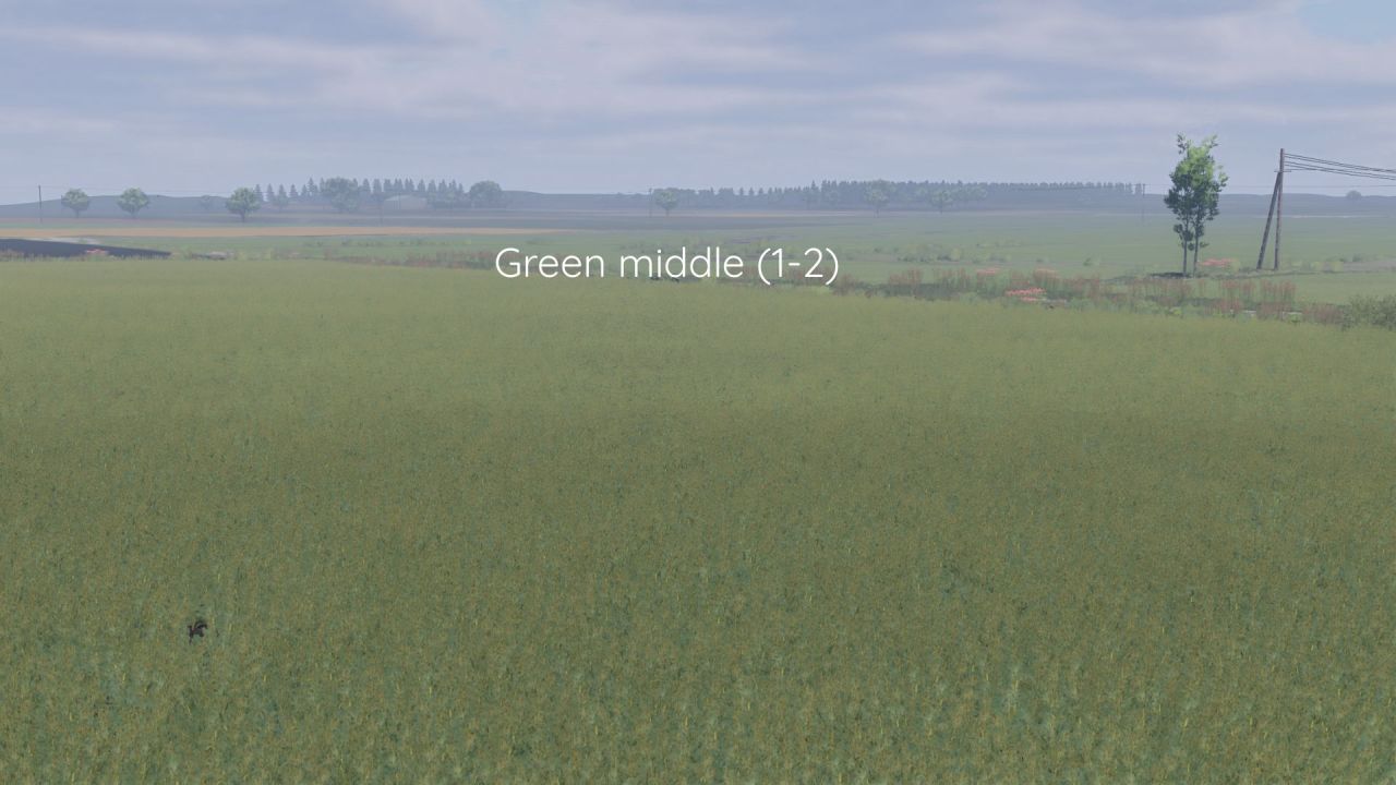 Покращена Текстура Ріпаку Better Canola Texture для Farming Simulator 25