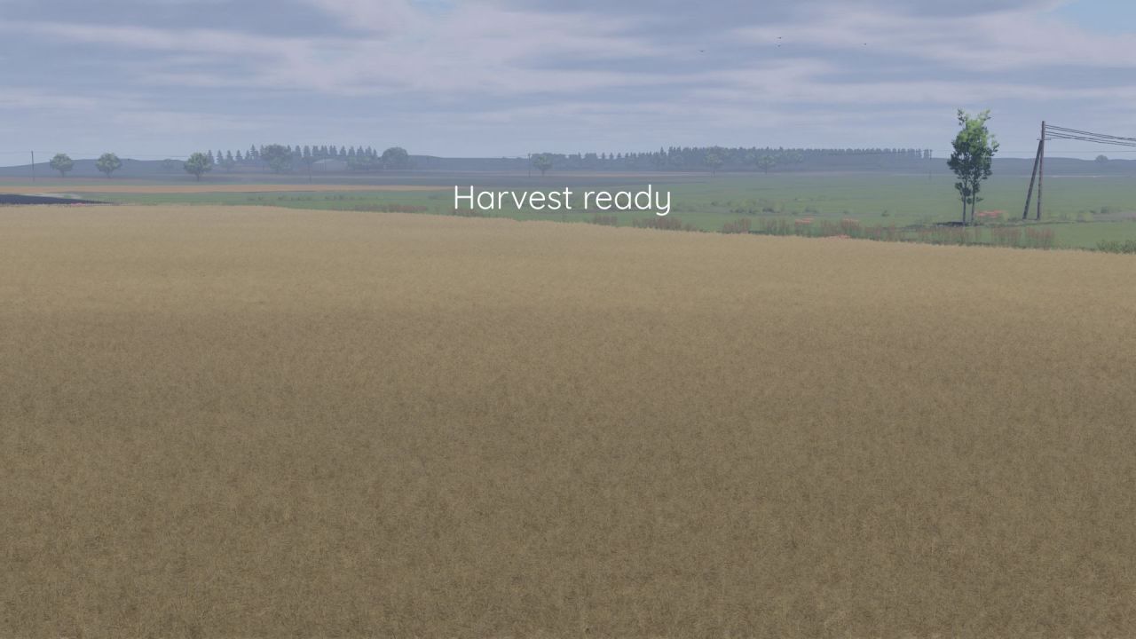 Покращена Текстура Ріпаку Better Canola Texture для Farming Simulator 25