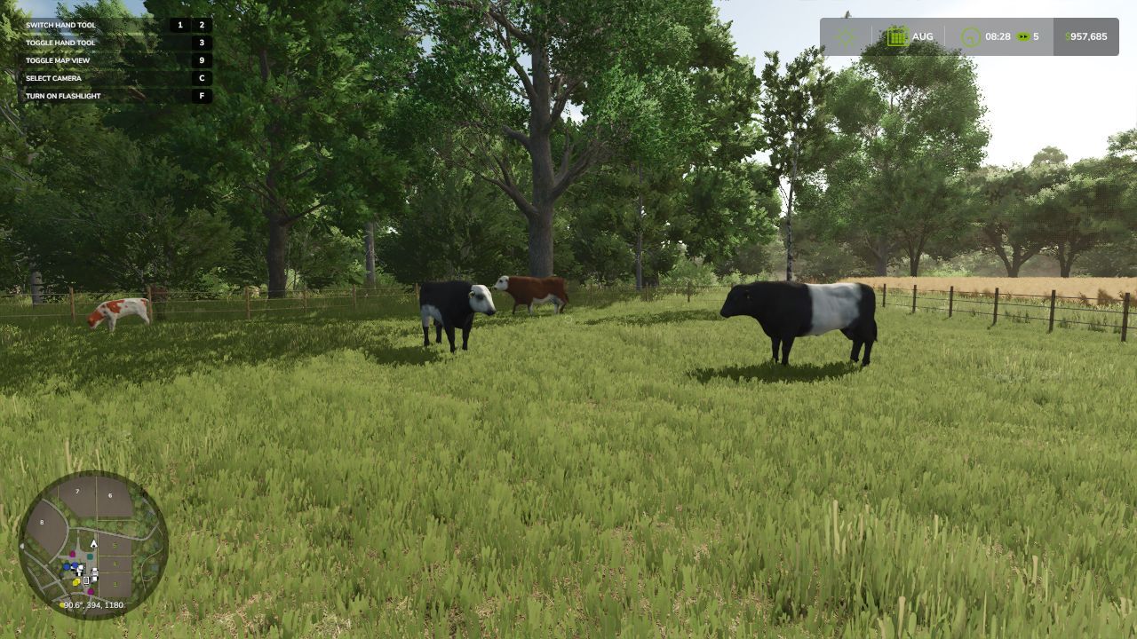 Новий Animal Pack – More Cattle Breeds Edition: Більше Порід ВРХ для Farming Simulator 25
